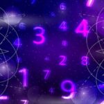 Inside the Mystery of 3381012544: What This Number Could Really Mean